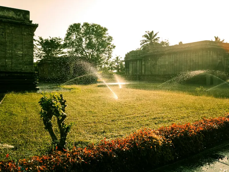 Sprinklers watering a lawn